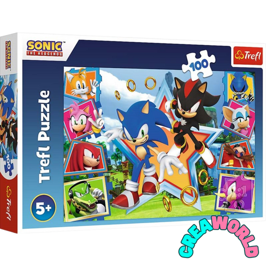 Puzzel - Sonic The Hedgehog - 100st
